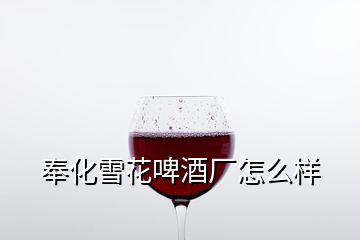 奉化雪花啤酒厂怎么样