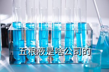 五粮液是啥公司的