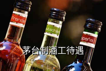 茅台制酒工待遇