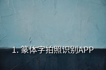 1. 篆体字拍照识别APP