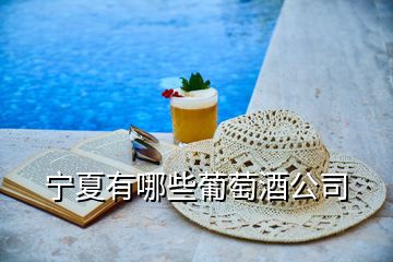 宁夏有哪些葡萄酒公司