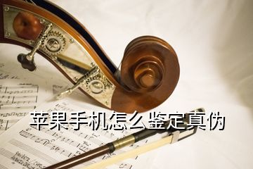 苹果手机怎么鉴定真伪