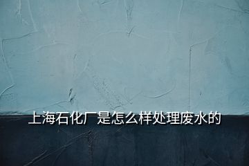 上海石化厂是怎么样处理废水的