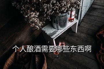 个人酿酒需要哪些东西啊