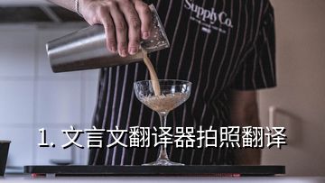 1. 文言文翻译器拍照翻译