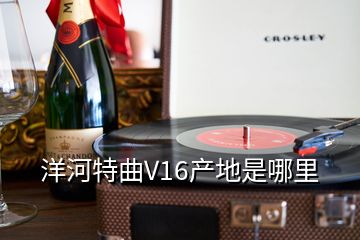 洋河特曲V16产地是哪里