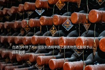 白酒当中除了可以提取到酒精甲醇乙醇类物质还能够予以提取到哪