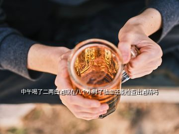 中午喝了二两白酒现在八个小时了抽血还能检查出酒精吗