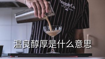 温良醇厚是什么意思