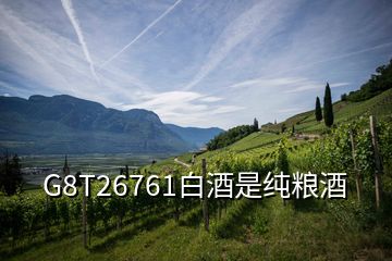 G8T26761白酒是纯粮酒