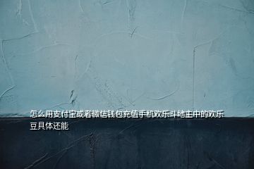 怎么用支付宝或者微信钱包充值手机欢乐斗地主中的欢乐豆具体还能