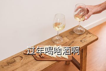 过年喝啥酒啊