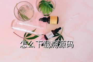 怎么下载溯源码