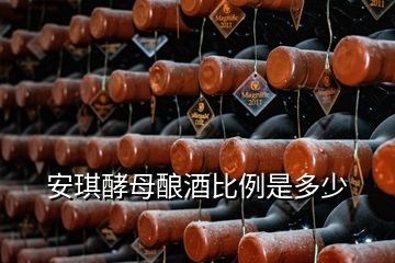 安琪酵母酿酒比例是多少