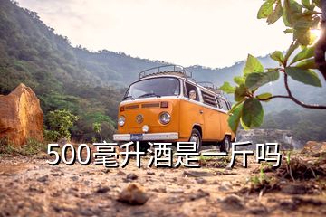 500毫升酒是一斤吗