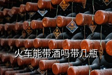 火车能带酒吗带几瓶