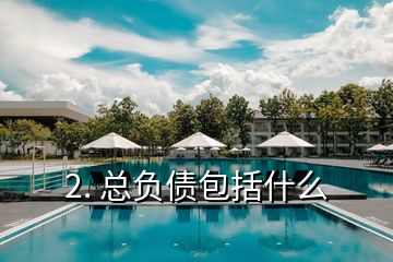 2. 总负债包括什么