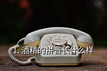 1. 酒精的拼音长什么样