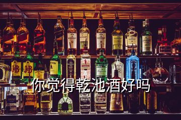 你觉得乾池酒好吗