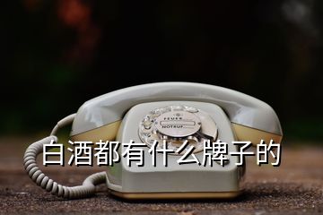 白酒都有什么牌子的