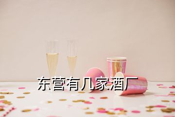 东营有几家酒厂