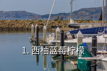 1. 西柚蓝莓柠檬