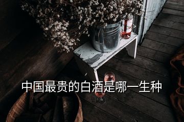 中国最贵的白酒是哪一生种