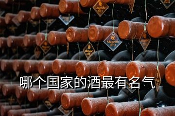 哪个国家的酒最有名气