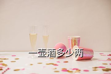 一壶酒多少两