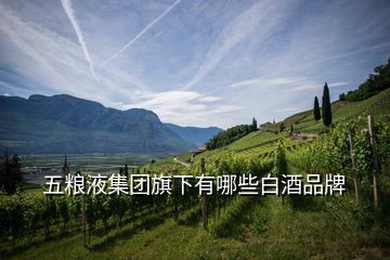 五粮液集团旗下有哪些白酒品牌