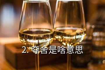 2. 夺舍是啥意思