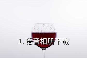 1. 语音相册下载