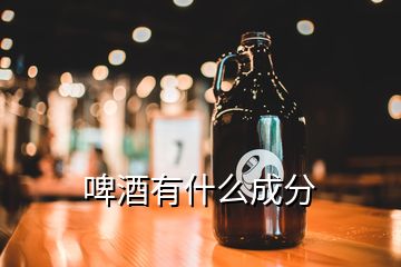 啤酒有什么成分