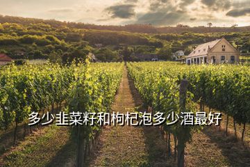 多少韭菜籽和枸杞泡多少酒最好