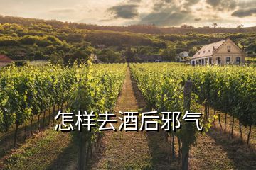 怎样去酒后邪气