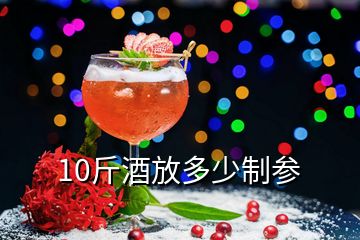 10斤酒放多少制参