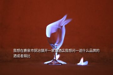 我想在鹿泉市铜冶镇开一家烟酒店我想问一进什么品牌的酒或者烟比