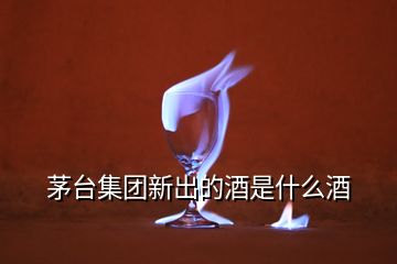 茅台集团新出的酒是什么酒