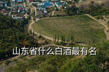 山东省什么白酒最有名