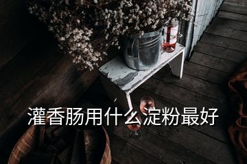 灌香肠用什么淀粉最好