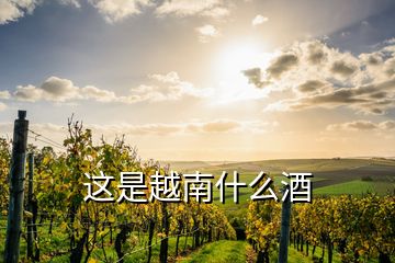 这是越南什么酒