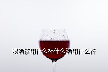 喝酒该用什么杯什么酒用什么杯