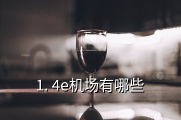 1. 4e机场有哪些