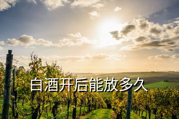 白酒开后能放多久