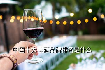 中国十大啤酒品牌排名是什么