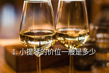 1. 小提琴的价位一般是多少