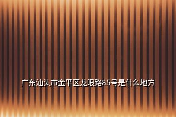 广东汕头市金平区龙眼路85号是什么地方