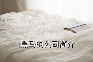 i黑马的公司简介