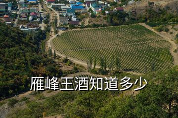 雁峰王酒知道多少