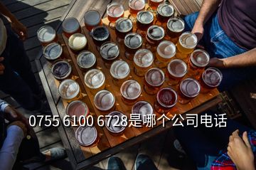 0755 6100 6728是哪个公司电话